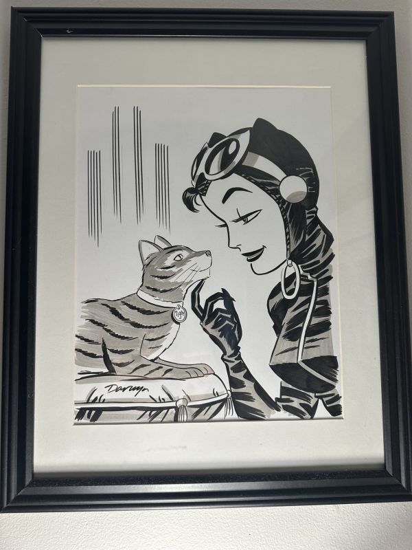 Image for 10x14 Catwoman by Darwyn Cooke