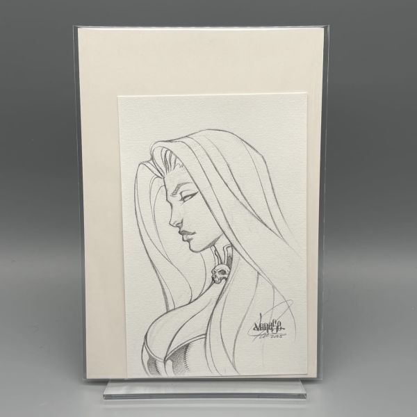 Image for Lady Death Sketch Signed by Jose Varese