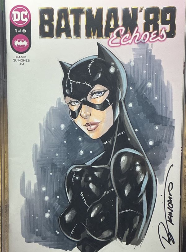 Image for Catwoman by Ryan Kincaid