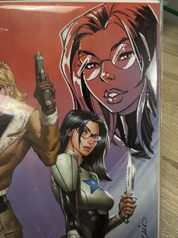Image for Baroness remarque