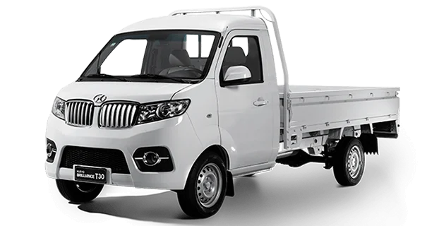 Shineray T30 con A/C - miniatura 13