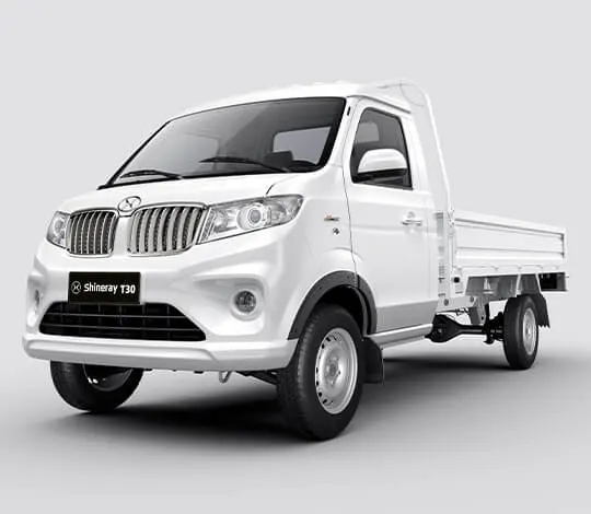 Shineray T30 con A/C - miniatura 6