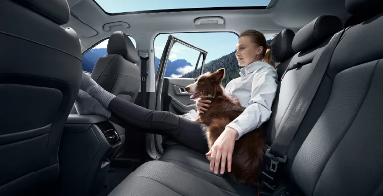 Jaecoo 5 - miniatura 17