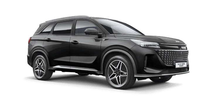 DFSK 600 PHEV - miniatura 6