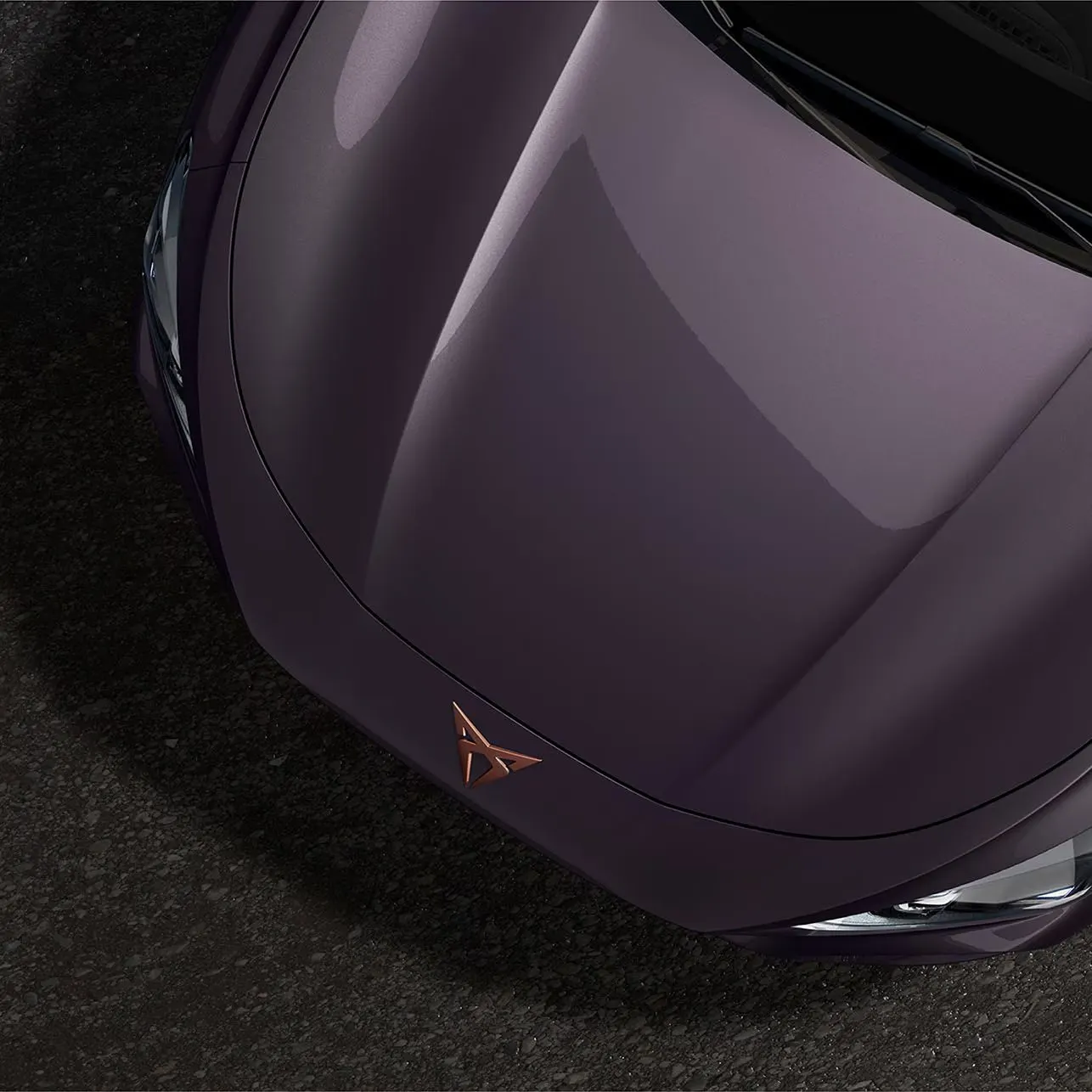 CUPRA Terramar - miniatura 31