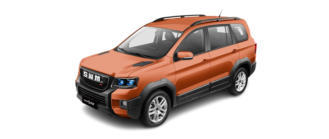 SWM G03F - miniatura 16