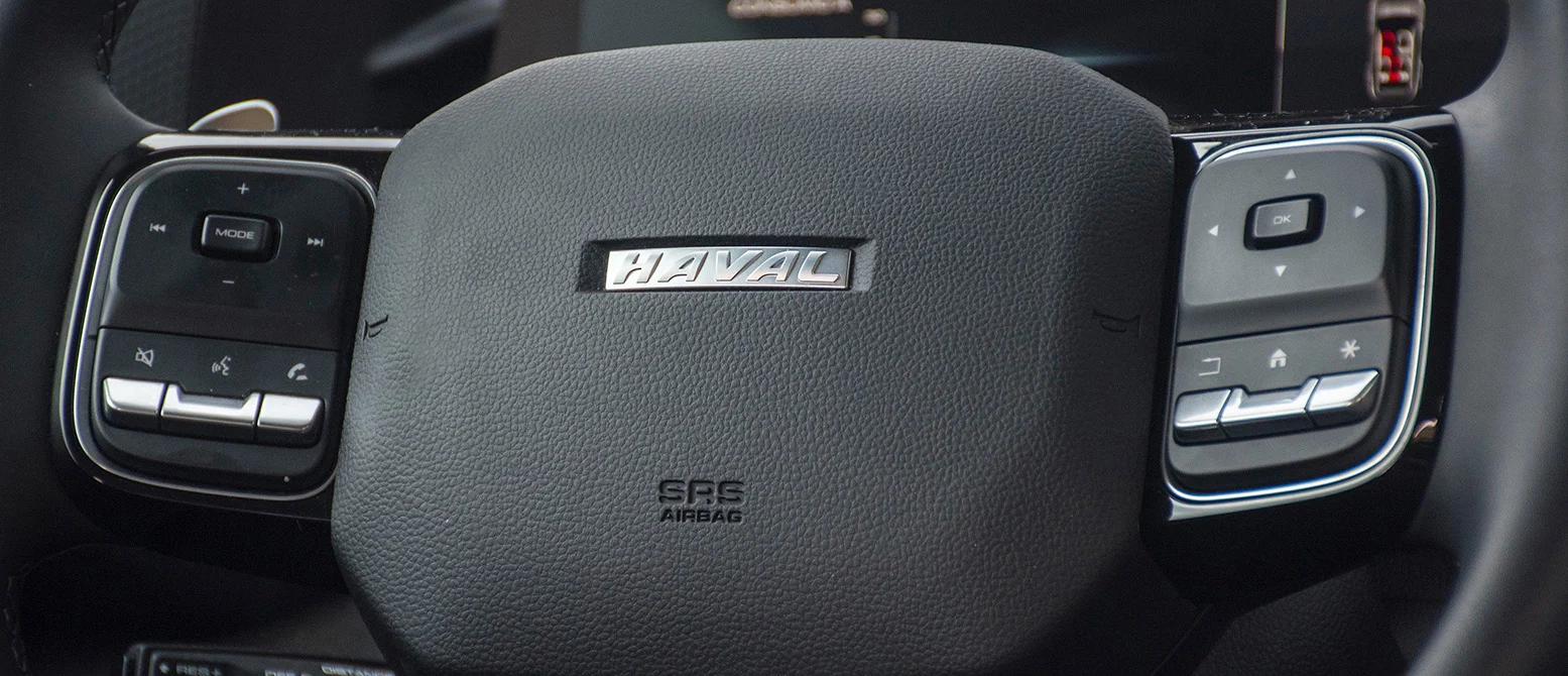 GWM Dargo - miniatura 12