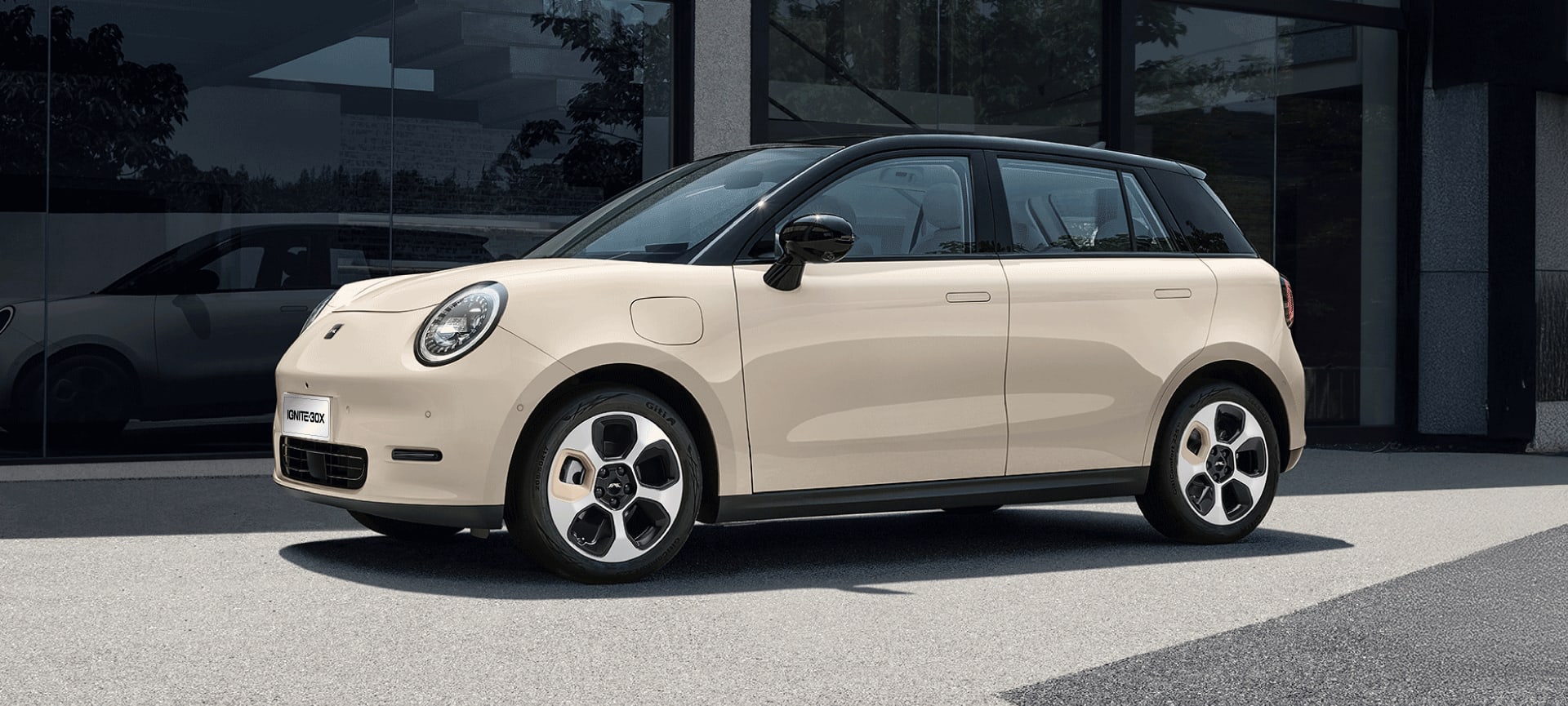 JAC IGNITE30X - miniatura 2