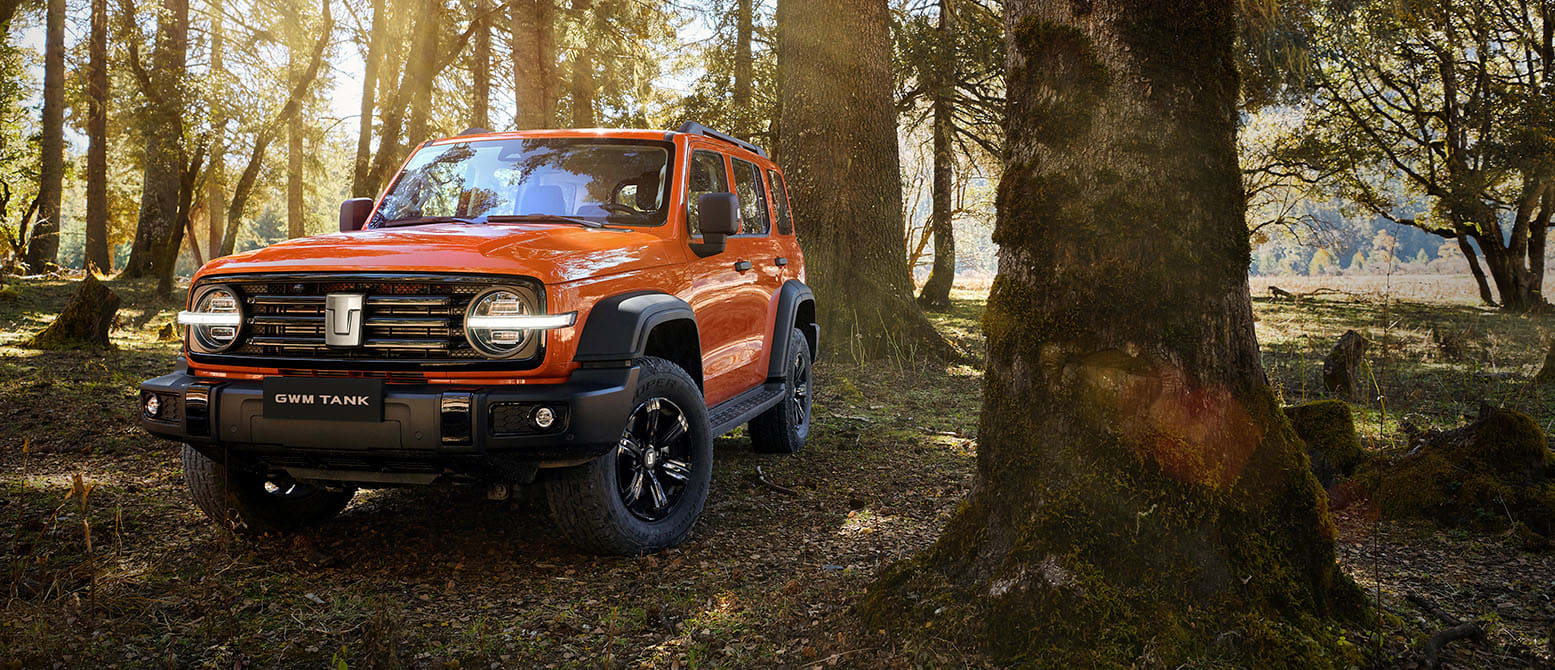 GWM Tank 300 - miniatura 10