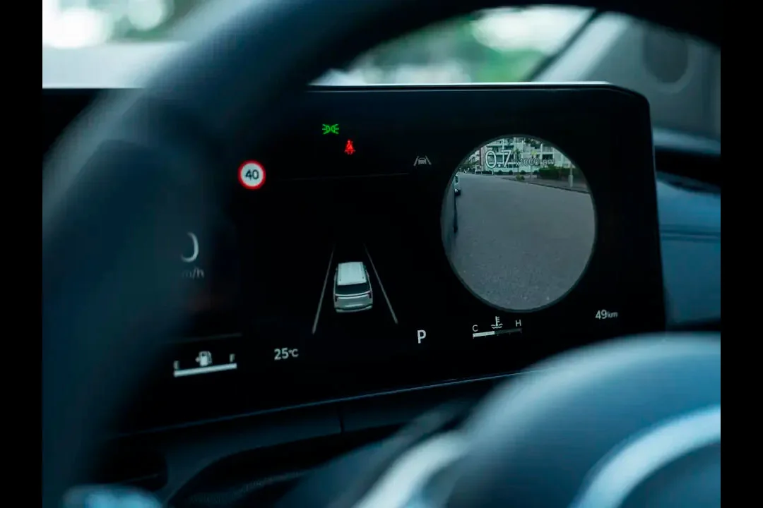 Kia Carnival - miniatura 55