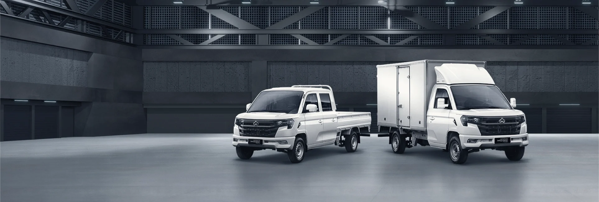 Changan Star Truck Plus - miniatura 24