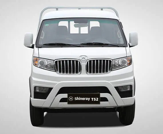 Shineray T52 - miniatura 9