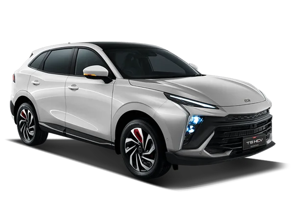 Dongfeng Dongfeng Huge Suv - miniatura 13