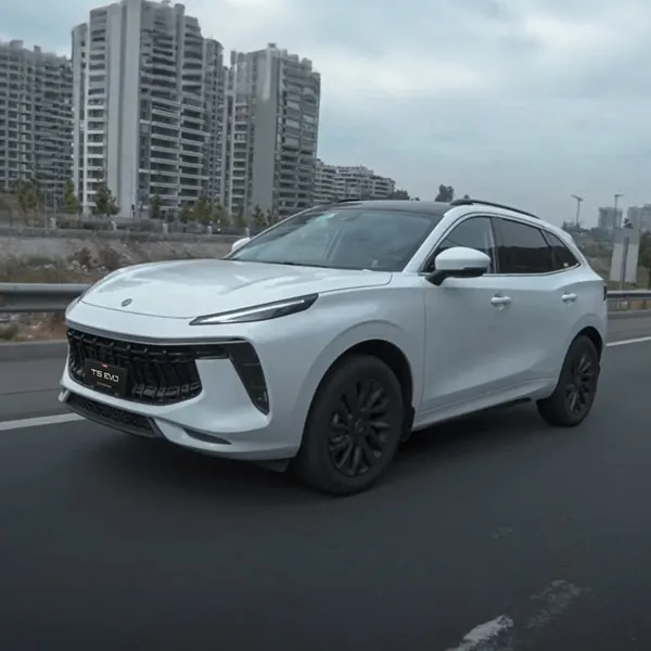 Dongfeng T5 Evo - miniatura 21