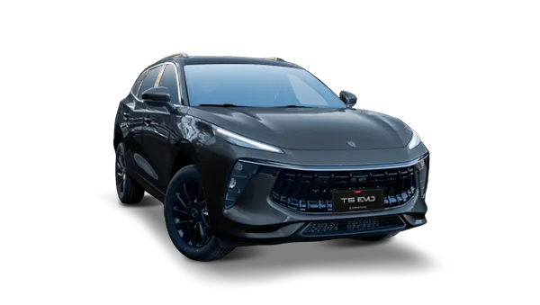 Dongfeng T5 Evo - miniatura 28