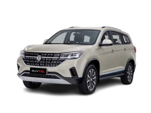Dongfeng T5 L - miniatura 28