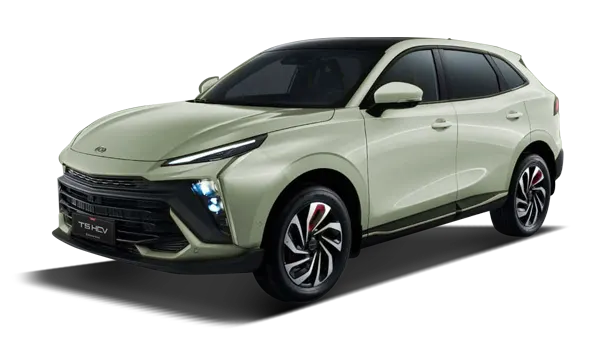 Dongfeng T5 Evo Hev - miniatura 29