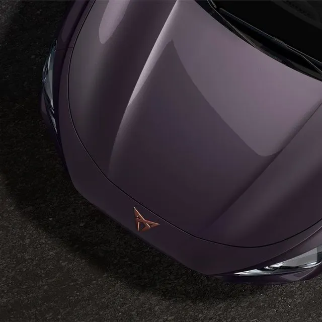 CUPRA Terramar - miniatura 73