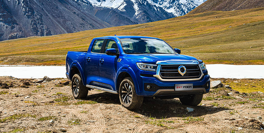 GWM Nueva Poer Plus Automática - miniatura 6