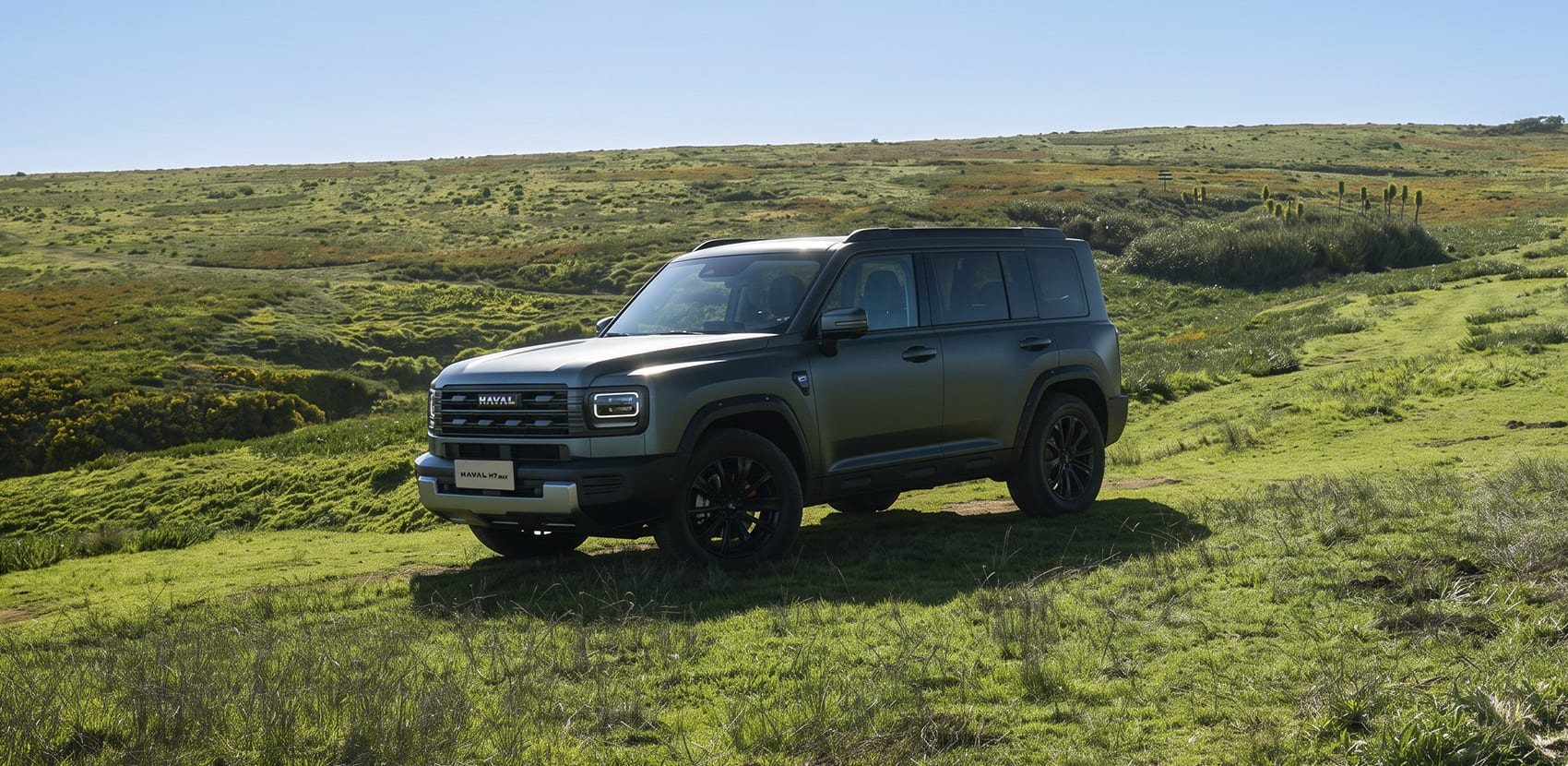 GWM Nuevo H7 Max Híbrida Y Phev - miniatura 7