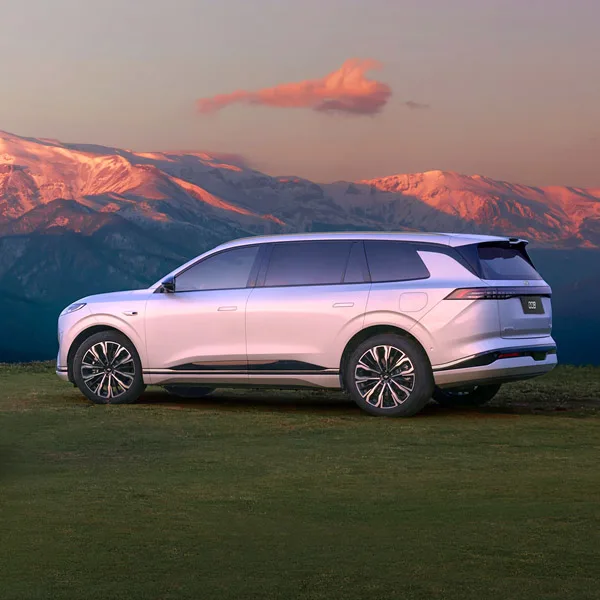 Dongfeng 008 - miniatura 22