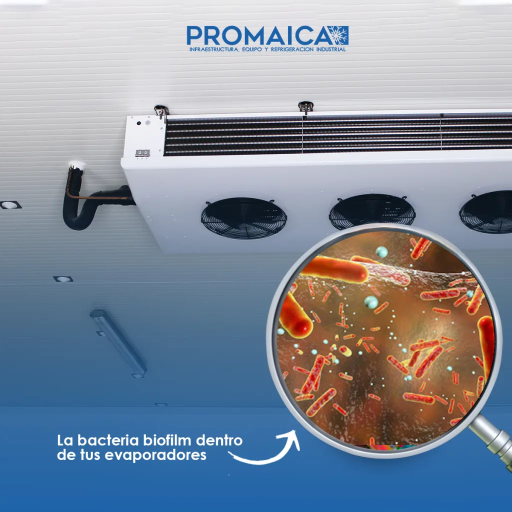 Biofilm, bacteria que se aloja dentro del cuarto frio