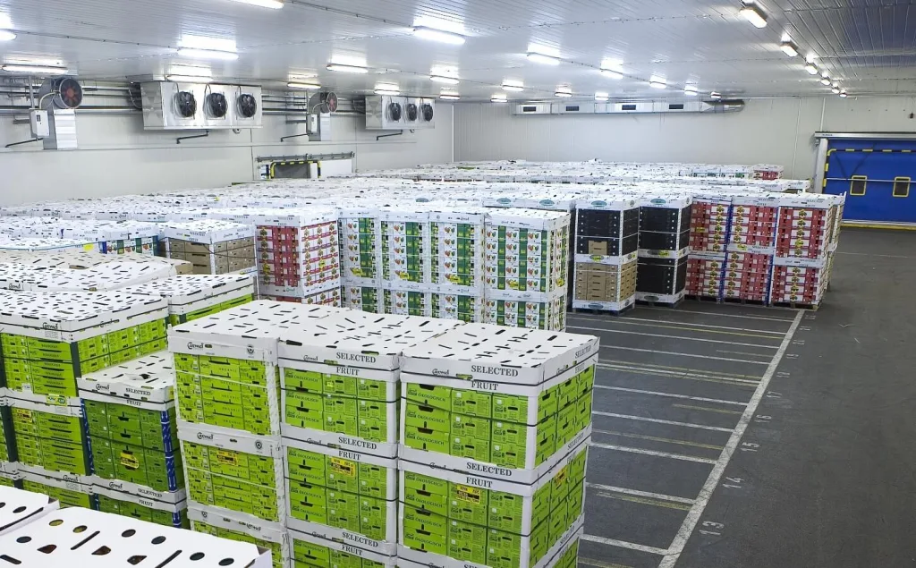 Recepción de mercadería de una empresa