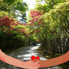 ri〜chan