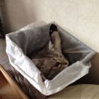 ちか ちか
