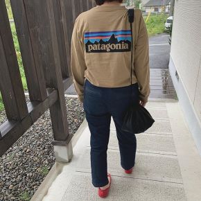 Patagonia パタゴニア ロゴtシャツのコーディネート一覧 Cbk カブキ