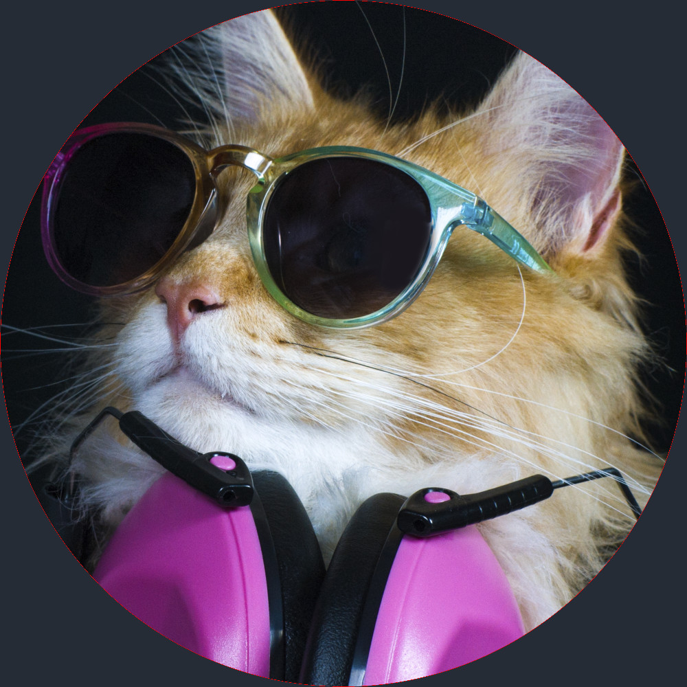 cool dance party cat rocking sun glasses and headphones.