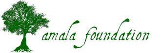 Amala_logo_long.png Amala_logo_long.png