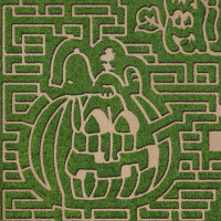 Barton Hill Farms' 4th Annual Fall Festival & Great Pumpkin Maze