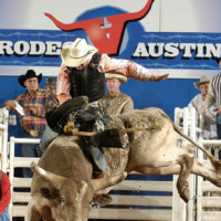 Austin Photo Set: News_shannon_what to do march 2013_austin rodeo