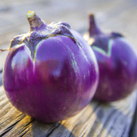 Photo of two eggplants