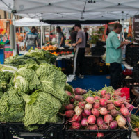 Blue Field Market