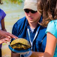 Viridian Bio Blitz and Campout
