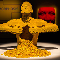 The Art of the Brick