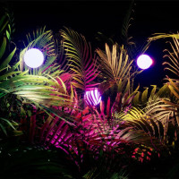 Oak Cliff Cultural Center presents Glow Forest