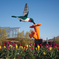 Sean Kenney’s Nature Connects Made with LEGO® Bricks