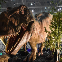 Jurassic Quest