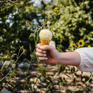 Farmers Market Ice Cream Favorite Kickstarts Campaign For Heights Shop Culturemap Houston