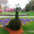 : Dallas Arboretum presents Dallas Blooms: "Birds in Paradise"