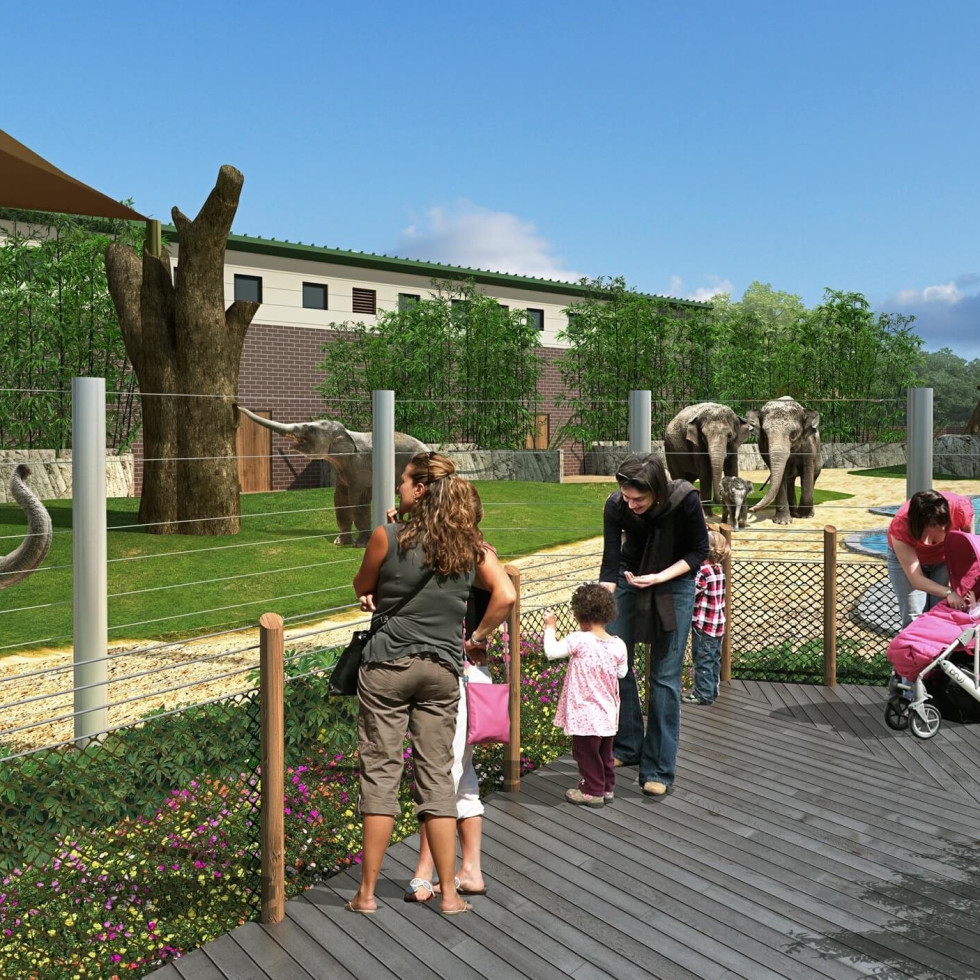 Elephant walk Thai, Tucker, and Baylor move into new Houston Zoo digs