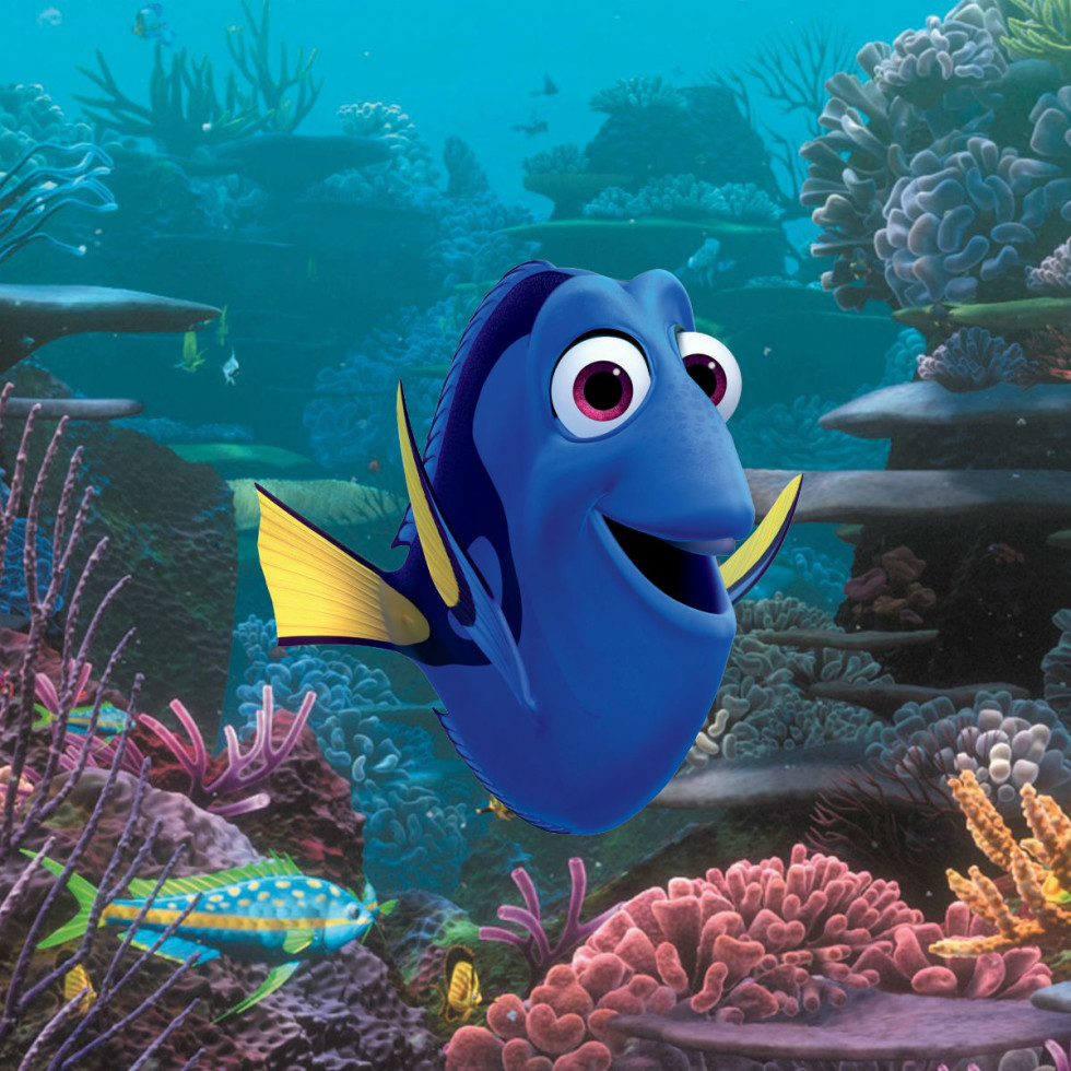buy finding dory movie buy finding dory movie