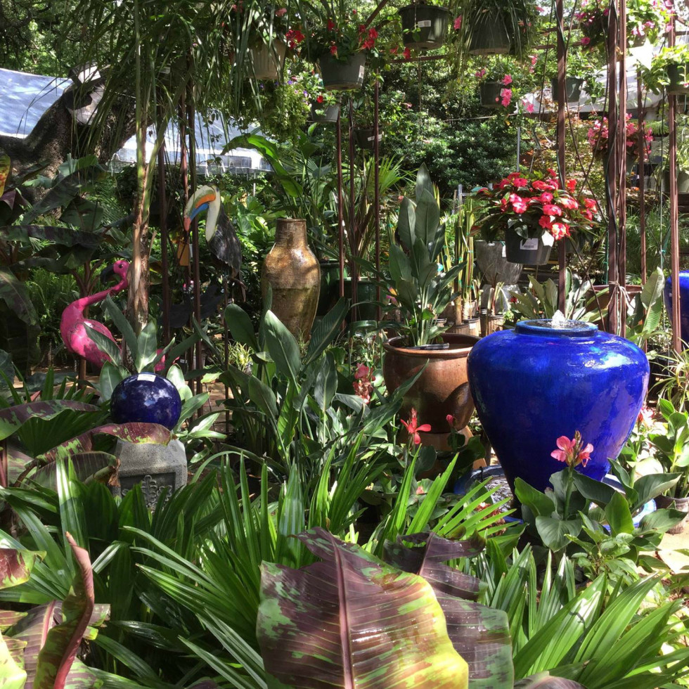 Austin's best garden shops for stylish succulents and all things green