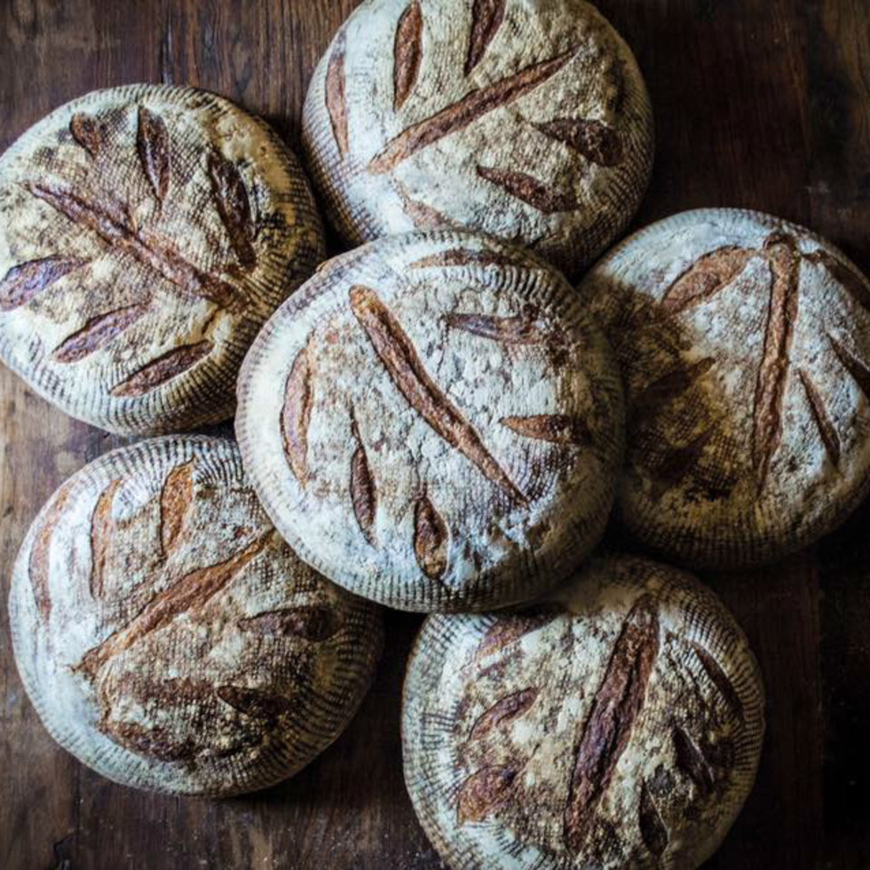 Where to eat in San Antonio 5 buzzworthy restaurants to try right now