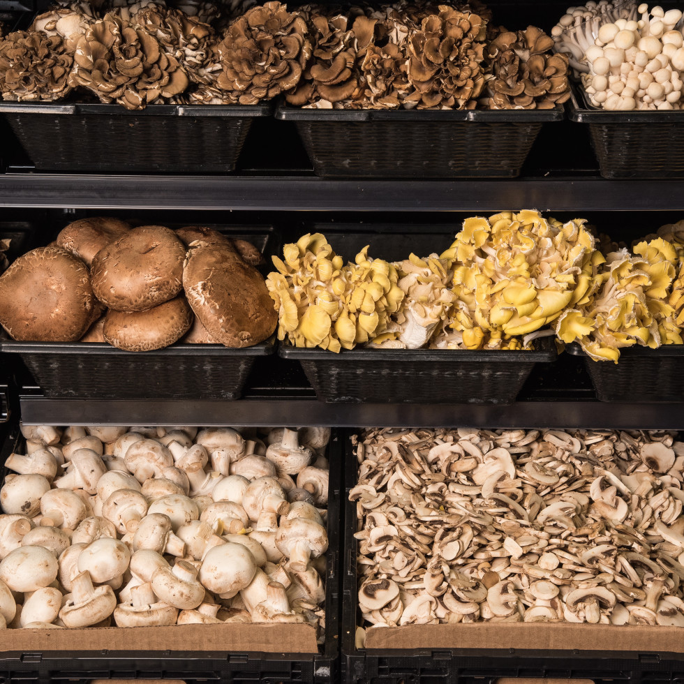 Central Market Makeover Olive Oil Is The New Wine In Foodie Heaven CultureMap Houston