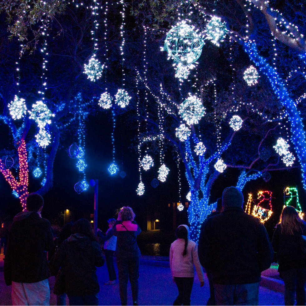 12 sparkling holiday light shows spreading cheer to Houston CultureMap Houston