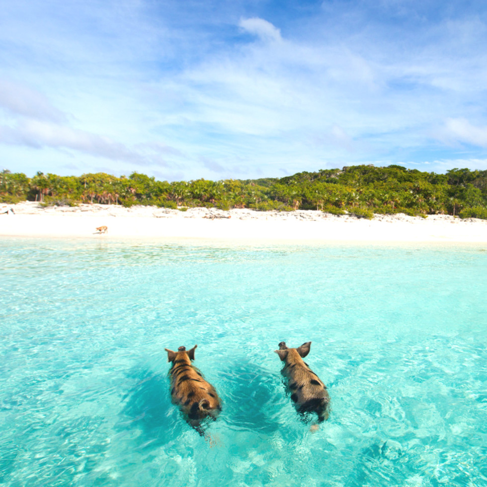 New nonstop flight makes quick HoustontoBahamas getaway a breeze